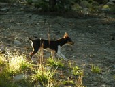 Enlarge photo 7