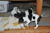 Enlarge photo 31