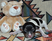 Enlarge photo 38