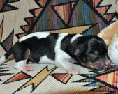 Enlarge photo 40