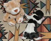 Enlarge photo 41