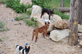Enlarge photo 13