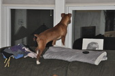 Enlarge photo 22
