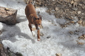 Enlarge photo 18