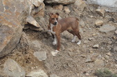 Enlarge photo 19