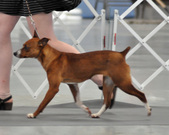 Enlarge photo 10