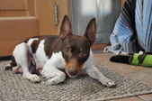 Enlarge photo 10