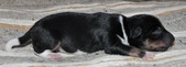 Enlarge photo 30