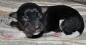 Enlarge photo 33