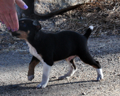 Enlarge photo 21
