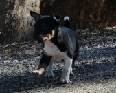 Enlarge photo 19