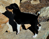 Enlarge photo 16