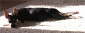 Enlarge photo 52