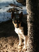 Enlarge photo 29