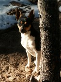 Enlarge photo 30