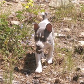 Enlarge photo 10