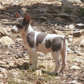 Enlarge photo 11