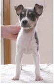 Enlarge photo 17