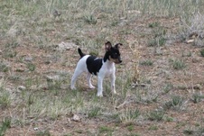 Enlarge photo 22