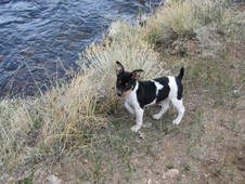 Enlarge photo 23