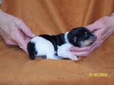 Enlarge photo 38