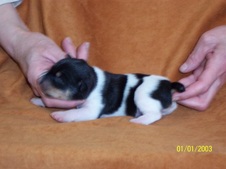 Enlarge photo 37