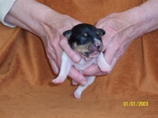 Enlarge photo 36