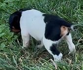 Enlarge photo 22