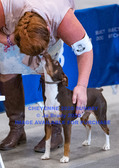 Enlarge photo 36