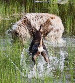 Enlarge photo 9
