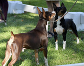Enlarge photo 42