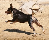 Enlarge photo 31