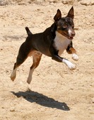 Enlarge photo 33