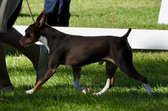 Enlarge photo 43