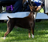 Enlarge photo 45