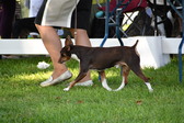 Enlarge photo 47