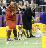Enlarge photo 39