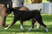 Enlarge photo 44
