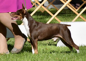Enlarge photo 52