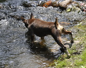 Enlarge photo 90