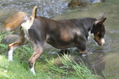 Enlarge photo 84