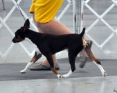 Enlarge photo 114