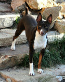 Enlarge photo 107
