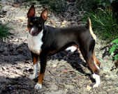 Enlarge photo 105