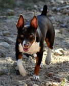 Enlarge photo 104