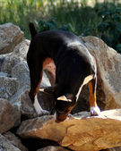Enlarge photo 103