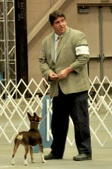 Enlarge photo 81