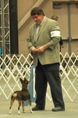 Enlarge photo 82