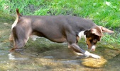 Enlarge photo 93
