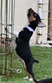 Enlarge photo 36